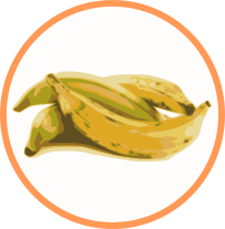 Banane plantain