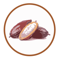 Cacao